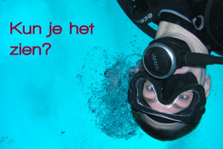 Kun je het zien